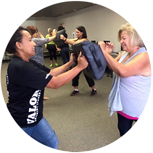 Martial Arts VALOR Training Center Adult Programs krav maga